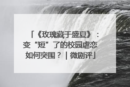 《玫瑰藏于盛夏》：变“短”了的校园虐恋如何突围？｜微剧评