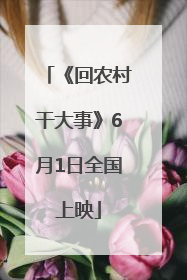 《回农村干大事》6月1日全国上映