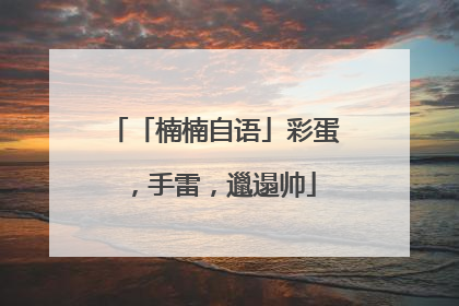 「楠楠自语」彩蛋，手雷，邋遢帅