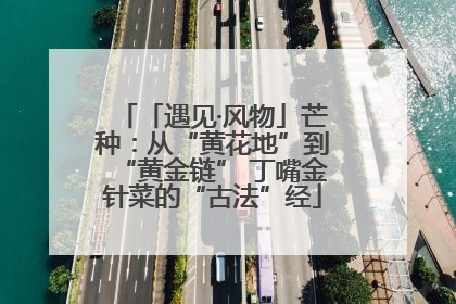 「遇见·风物」芒种：从“黄花地”到“黄金链” 丁嘴金针菜的“古法”经
