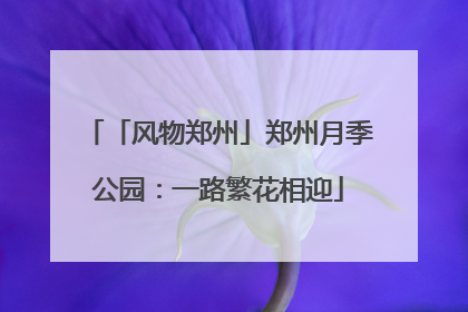 「风物郑州」郑州月季公园：一路繁花相迎