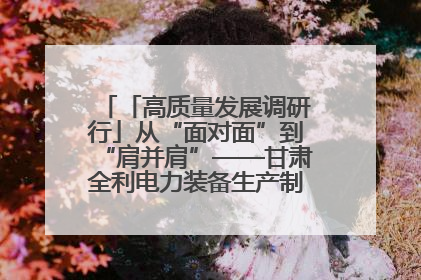 「高质量发展调研行」从“面对面”到“肩并肩”——甘肃全利电力装备生产制造项目一线见闻