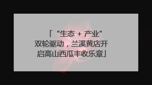 “生态 + 产业”双轮驱动，兰溪黄店开启高山西瓜丰收乐章