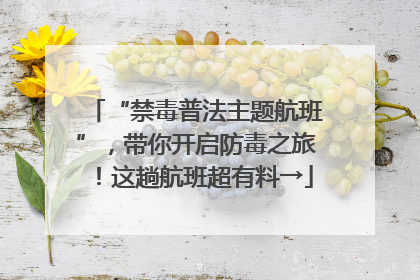 “禁毒普法主题航班”，带你开启防毒之旅！这趟航班超有料→