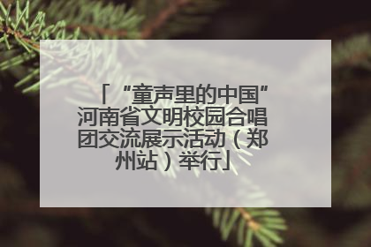 “童声里的中国”河南省文明校园合唱团交流展示活动（郑州站）举行