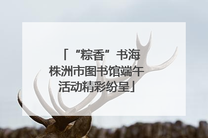 “粽香”书海 株洲市图书馆端午活动精彩纷呈