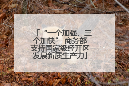 “一个加强、三个加快” 商务部支持国家级经开区发展新质生产力
