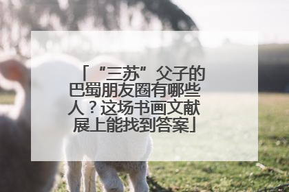 “三苏”父子的巴蜀朋友圈有哪些人？这场书画文献展上能找到答案
