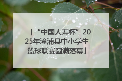 “中国人寿杯”2025年漳浦县中小学生篮球联赛圆满落幕
