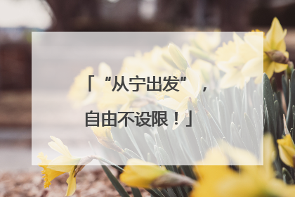 “从宁出发”，自由不设限！
