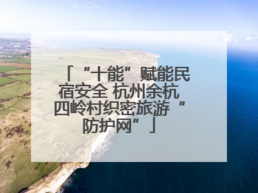 “十能”赋能民宿安全 杭州余杭四岭村织密旅游“防护网”