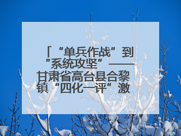 “单兵作战”到“系统攻坚”——甘肃省高台县合黎镇“四化一评”激活农村党员管理新引擎