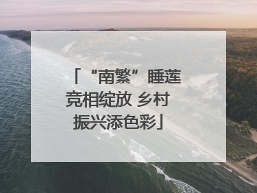 “南繁”睡莲竞相绽放 乡村振兴添色彩