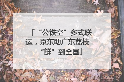 “公铁空”多式联运，京东助广东荔枝“鲜”到全国