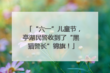 “六一”儿童节，亭湖民警收到了“黑猫警长”锦旗！