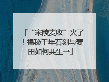 “宋陵麦收”火了！揭秘千年石刻与麦田如何共生→