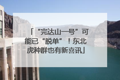 “完达山一号”可能已“脱单”！东北虎种群也有新喜讯