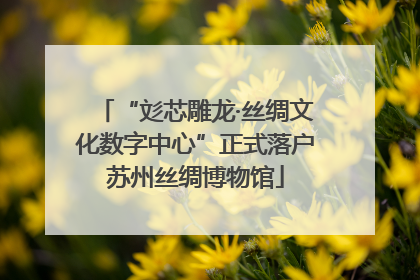“彣芯雕龙·丝绸文化数字中心”正式落户苏州丝绸博物馆