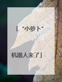 “小萝卜”机器人来了
