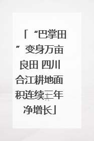 “巴掌田”变身万亩良田 四川合江耕地面积连续三年净增长
