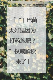 “干巴菌太好是因为打药施肥？”权威解读来了
