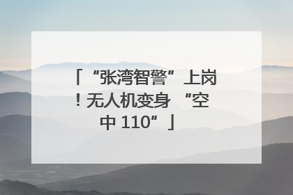 “张湾智警”上岗！无人机变身 “空中 110”