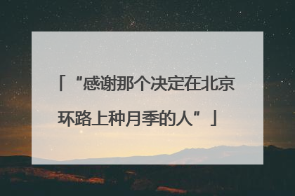 “感谢那个决定在北京环路上种月季的人”