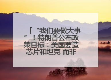 “我们要做大事”！特朗普公布政策目标：美国要造芯片和坦克 而非T恤袜子