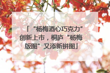 “杨梅酒心巧克力”创新上市，桐庐“杨梅版图”又添新拼图
