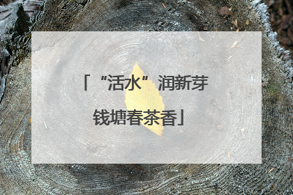 “活水”润新芽 钱塘春茶香