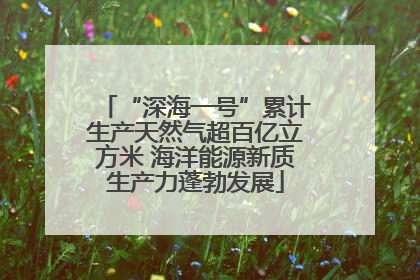 “深海一号”累计生产天然气超百亿立方米 海洋能源新质生产力蓬勃发展