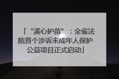 “溪心护苗”：全省法院首个涉诉未成年人保护公益项目正式启动
