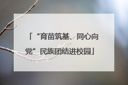 “育苗筑基、同心向党”民族团结进校园