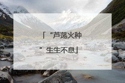 “芦荡火种”生生不息