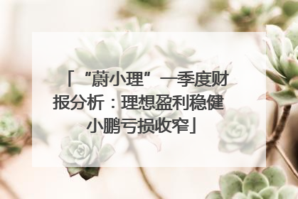 “蔚小理”一季度财报分析：理想盈利稳健 小鹏亏损收窄