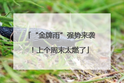 “金牌雨”强势来袭！上个周末太燃了