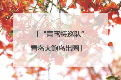 “青鸾特巡队”青岛大鲍岛出圈