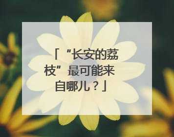 “长安的荔枝”最可能来自哪儿？