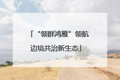 “领群鸿雁”领航边境共治新生态