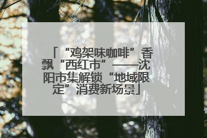 “鸡架味咖啡”香飘“西红市”——沈阳市集解锁“地域限定”消费新场景