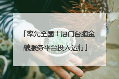 率先全国！厦门台胞金融服务平台投入运行