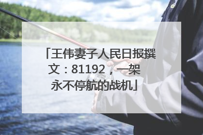 王伟妻子人民日报撰文：81192，一架永不停航的战机