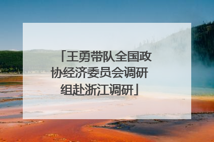 王勇带队全国政协经济委员会调研组赴浙江调研