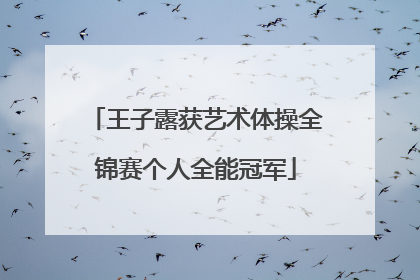 王子露获艺术体操全锦赛个人全能冠军