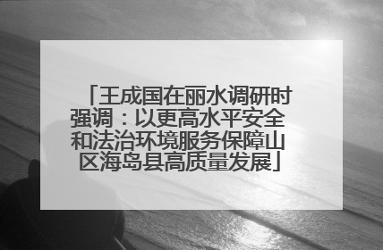 王成国在丽水调研时强调：以更高水平安全和法治环境服务保障山区海岛县高质量发展