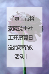 灵宝市检察院携手社工开展夏日送清凉帮教活动