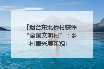 烟台东北桥村获评“全国文明村”：乡村振兴展新貌