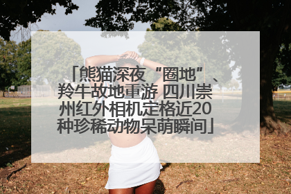 熊猫深夜“圈地”、羚牛故地重游 四川崇州红外相机定格近20种珍稀动物呆萌瞬间