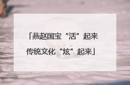 燕赵国宝“活”起来 传统文化“炫”起来