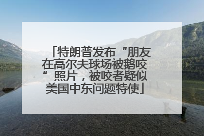 特朗普发布“朋友在高尔夫球场被鹅咬”照片，被咬者疑似美国中东问题特使